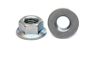 Hexagon Flange Nut