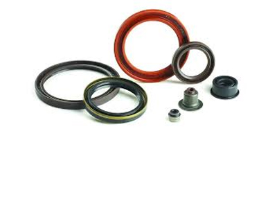 Oil Seals and O rings