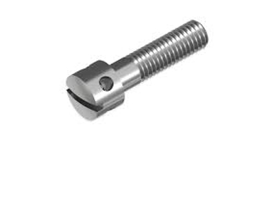 Slotted Capstan Screws