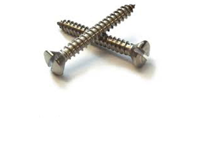 Slotted Raised Countersunk Head Screws